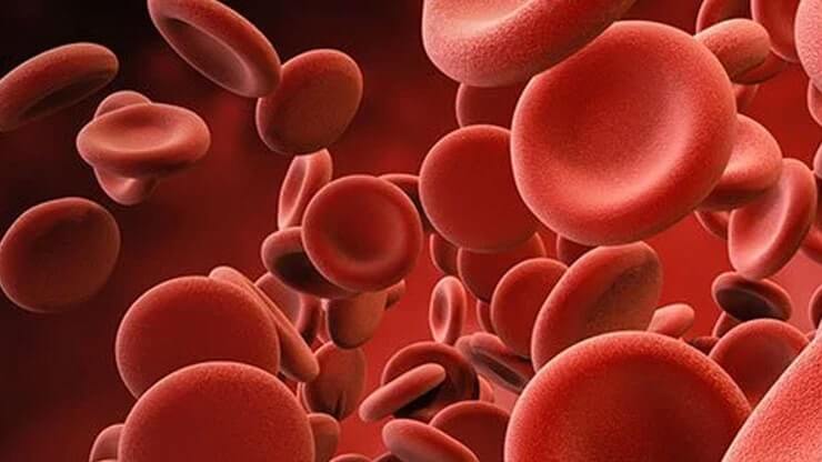 کودکان مبتلا به فاویسم